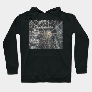 Spiderweb, in autumn. Hoodie